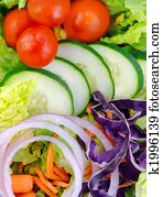 Fresh Garden Salad Fresh Garden Salad