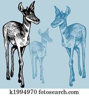 Gazelle Illustrations | Our Top 109 Gazelle Stock Art | Fotosearch