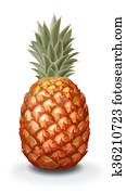 Pineapple Pineapple