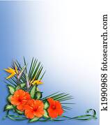 Tropical Hibiscus Flowers border Tropical Hibiscus Flowers border