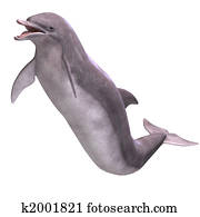3D Dolphin 3D Dolphin