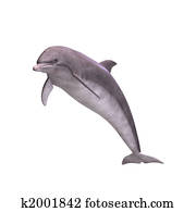 3D Dolphin 3D Dolphin