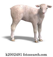 lamb lamb