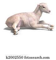 lamb lamb