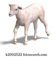 lamb lamb