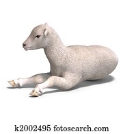 lamb lamb