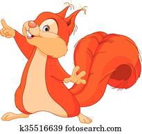 Squirrel Shows Squirrel Shows