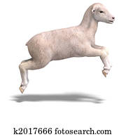 lamb lamb