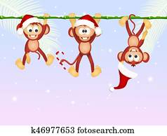 monkeys celebrate Christmas