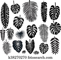 Set of Tropical Leaves Set of Tropical Leaves