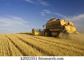 Agriculture - Combine Agriculture - Combine