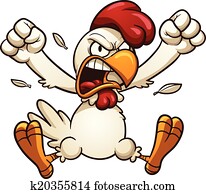 Angry chicken Angry chicken