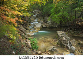 Autumn rill flow. Autumn rill flow.