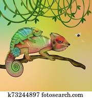 chameleons on branch chameleons on branch