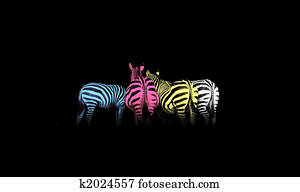 CMYK, colorido, zebras