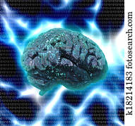 Electronic Brain Design Electronic Brain Design