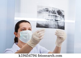 Female Dentist Looking At Dental Xray