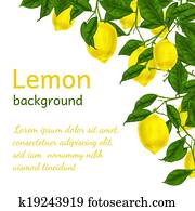 Lemon background poster Lemon background poster
