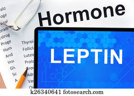 Leptin Leptin