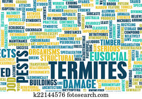 Termites Termites
