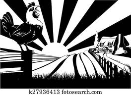 crowing, galo, casa fazenda, cena