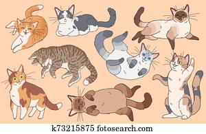 Cute cats. Funny different breeds kittens , pets sleeping and playing cartoon vector characters set Cute cats. Funny different breeds kittens , pets sleeping and playing cartoon vector characters set
