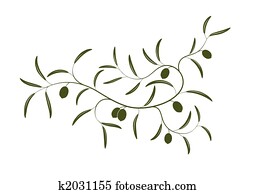Olive branch Olive branch