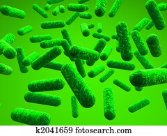 Bacteriums Bacteriums