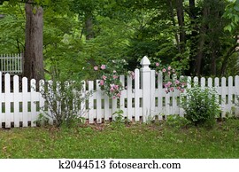 fence with roses fence with roses
