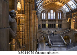 Interior of Natural History Museum, London.