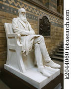 STATUE OF DARWIN