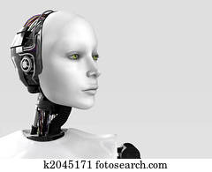 The face of a robot woman. The face of a robot woman.