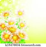 frühjahrsblumen, hintergrund frühjahrsblumen, hintergrund