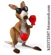 Fun kangaroo Fun kangaroo