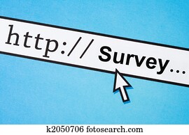 Online survey Online survey