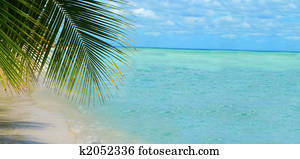 tropical beach background