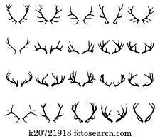 antlers of deer 2 antlers of deer 2