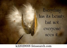 Chinese proverb about beauty in nature, with a pretty milkweed pod with seed blowing in the wind in autumn, grunge textured. Chinese proverb about beauty in nature, with a pretty milkweed pod with seed blowing in the wind in autumn, grunge textured.