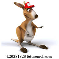 Fun kangaroo Fun kangaroo