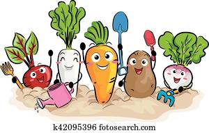 קמיע, שורש, יבולים, כלים של גן