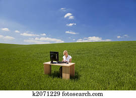 Businesswoman Using Computer In A Green Field