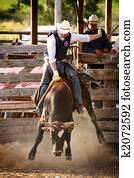cowboy rodeo bull riding cowboy rodeo bull riding