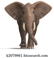 huge elephant huge elephant