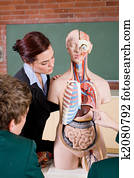 anatomy class anatomy class