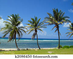 caimão principal, paraisos