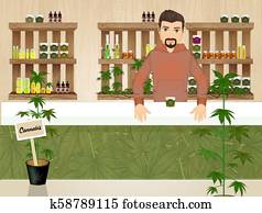 cannabis store cannabis store