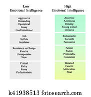 Emotional Intelligence Emotional Intelligence