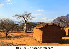 House surrounded by baobab trees in Africa