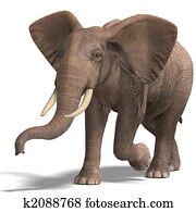 huge elephant huge elephant