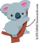 koala koala